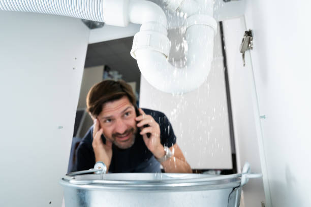 Best Plumbing Services Near Me  in Gman, IL
